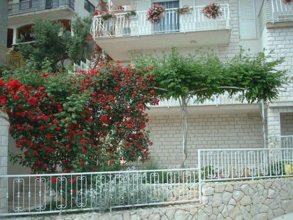 Lana Apartments Trogir Zewnętrze zdjęcie